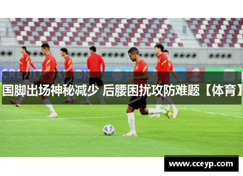 国脚出场神秘减少 后腰困扰攻防难题【体育】